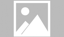 生存日漫画,末日废墟中的求生之旅