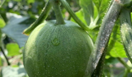 娱乐圈吃瓜的地方,揭秘明星幕后故事